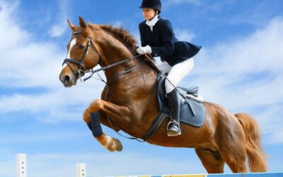 Door lang wachten met transport geen nultarief