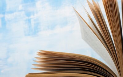 Handboek Dienst Toeslagen nu voor iedereen beschikbaar