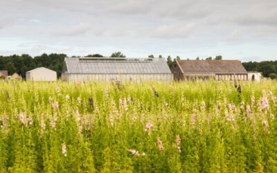 Bestemmingswijziging levert belastbare winst op